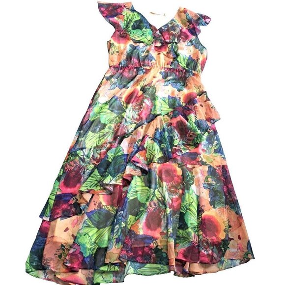 Soft Surroundings LP Ambrosia Sleeveless Floral Print Tiered Maxi Dress - Picture 5 of 10